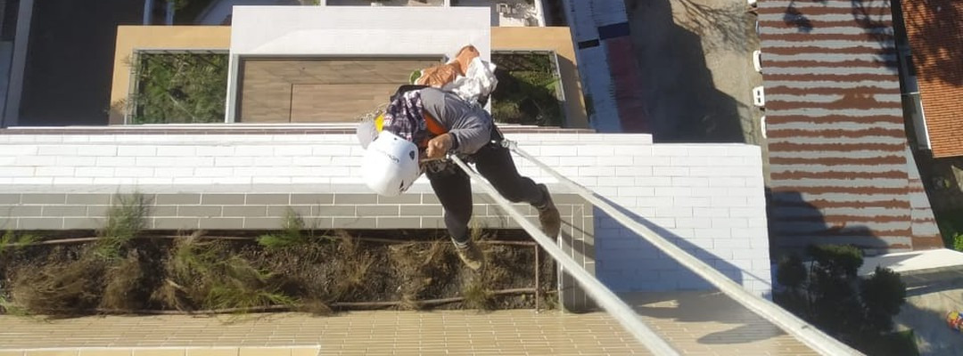 Alpinista profissional realizando manutenção de jardim vertical por rapel predial